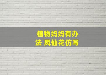 植物妈妈有办法 凤仙花仿写